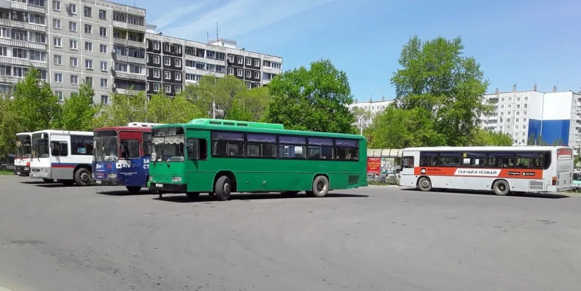 Дачный автобус. Пермь дачные автобусы. Автобусы дачные Биробиджан фото.