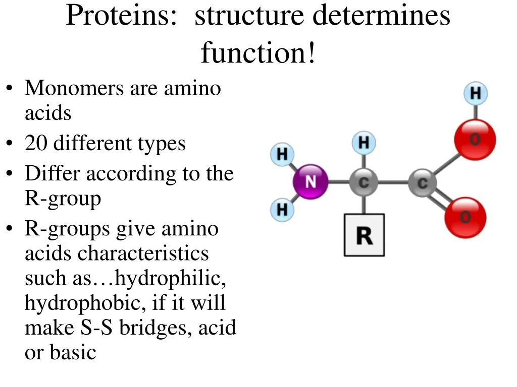 Укажите мономеры белков. Protein structure. Thy-1 Protein structure. Content Market structure determinants.