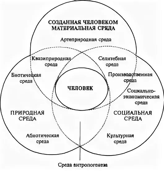 Составные части окружающей среды человека. Среда жизни человека. Среда жизни современного человека. Схема взаимодействия человека с окружающей средой.