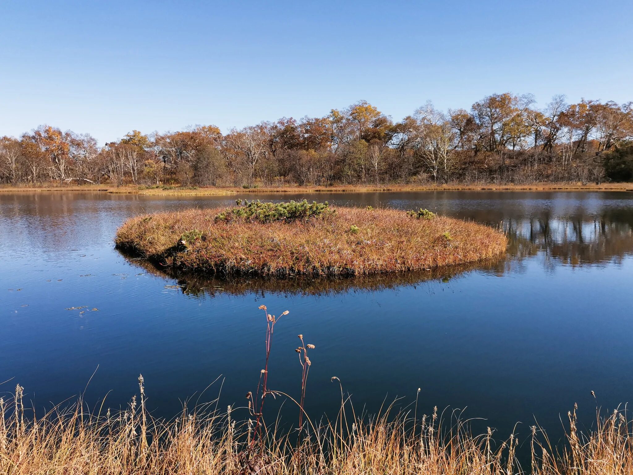 Село островки. Село островки. Поселок островок. Церковь николая чудотворца в харовском районе село сумино. Вид на село остров из лытарино.