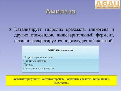 Амилаза общая это