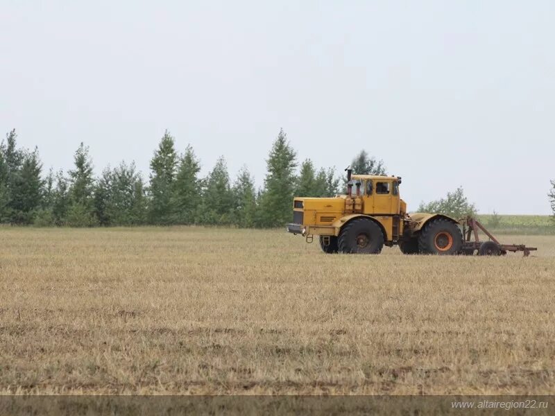 Угловский район село Угловское. АПК Алтайского края. Село Симоново Алтайский край Угловский район. Алтайский край Угловский район село Борисовка. Погода алтайский край угловский топольное