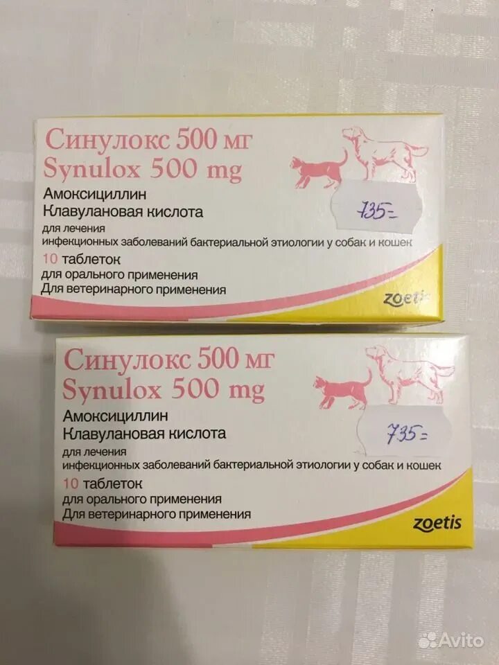 Синулокс дозировка. Синулокс 50 мг дозировка. Синулокс 125 мг. Синулокс 50 мг для кошек. Собачий антибиотик синулокс.