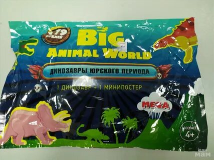 Текст big animal