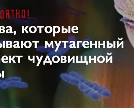 Человек который родился на стыке знаков