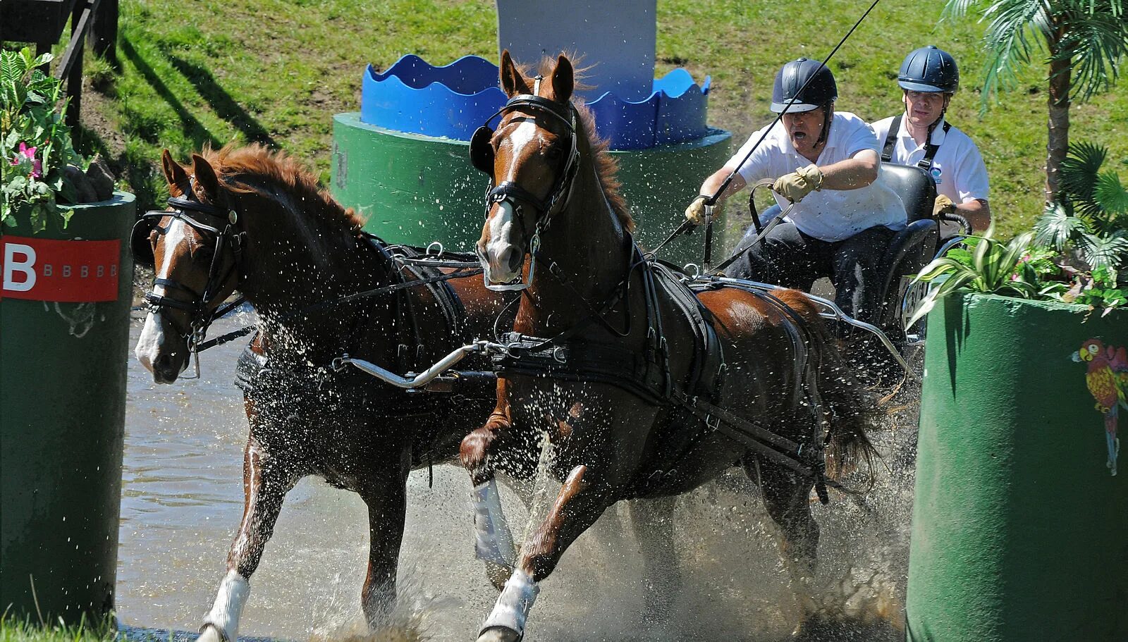 Driving horse