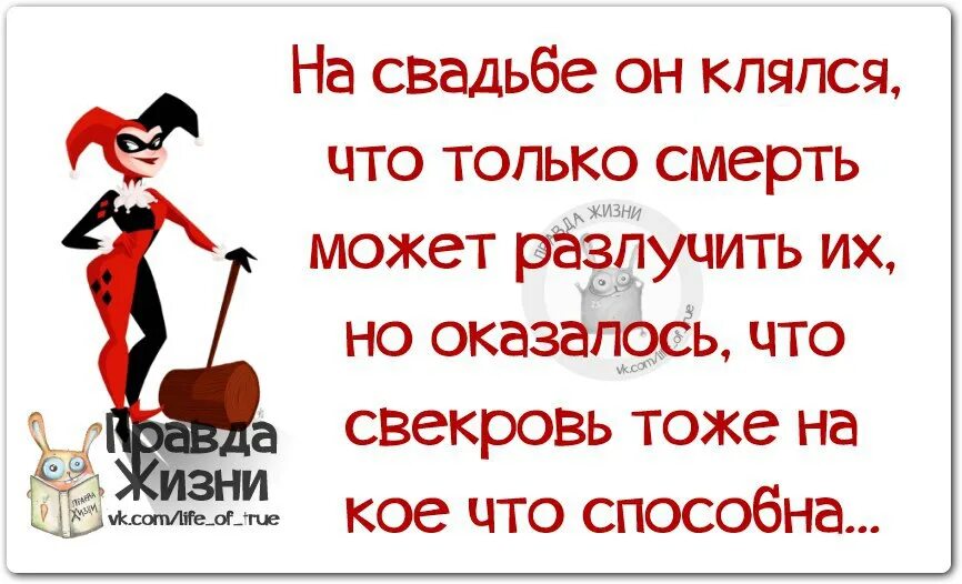 Высказывания про свекровь. Афоризмы про свекровь. Статусы про свекровь. Цитаты про свекровь.