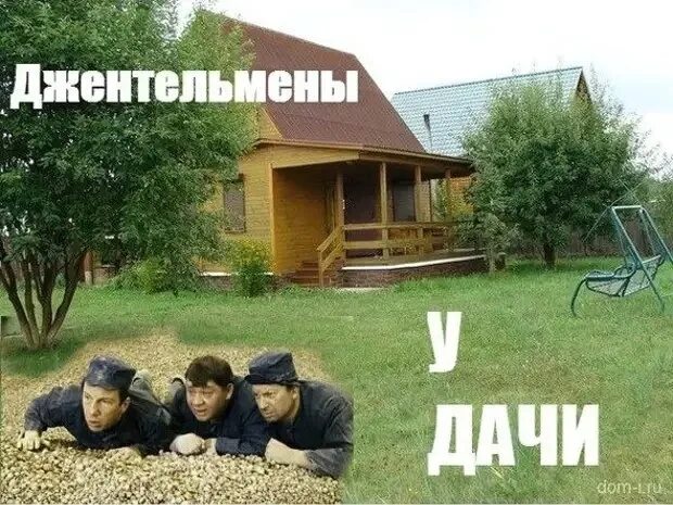 Открытки про дачу. Кот в огороде. Дача юмор. Кралю свою отправь пока на дачу. Открытка пора на дачу.