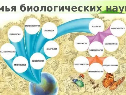 Схема наук о природе