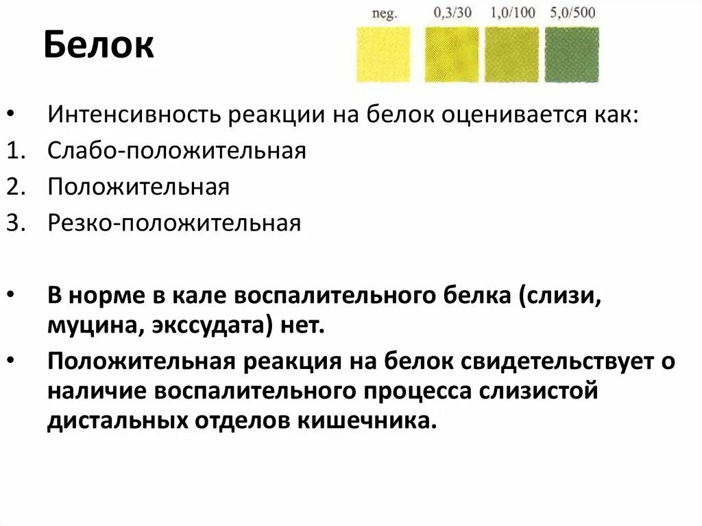 Реакция на белок в Кале положительная. Реакция на белок слабо положительная. Положительные реакции на белок. Реакция белка в норме. Резко положительная реакция