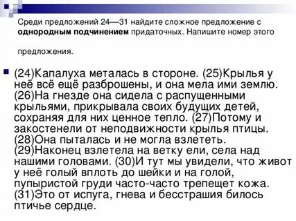 В предложениях 24 26