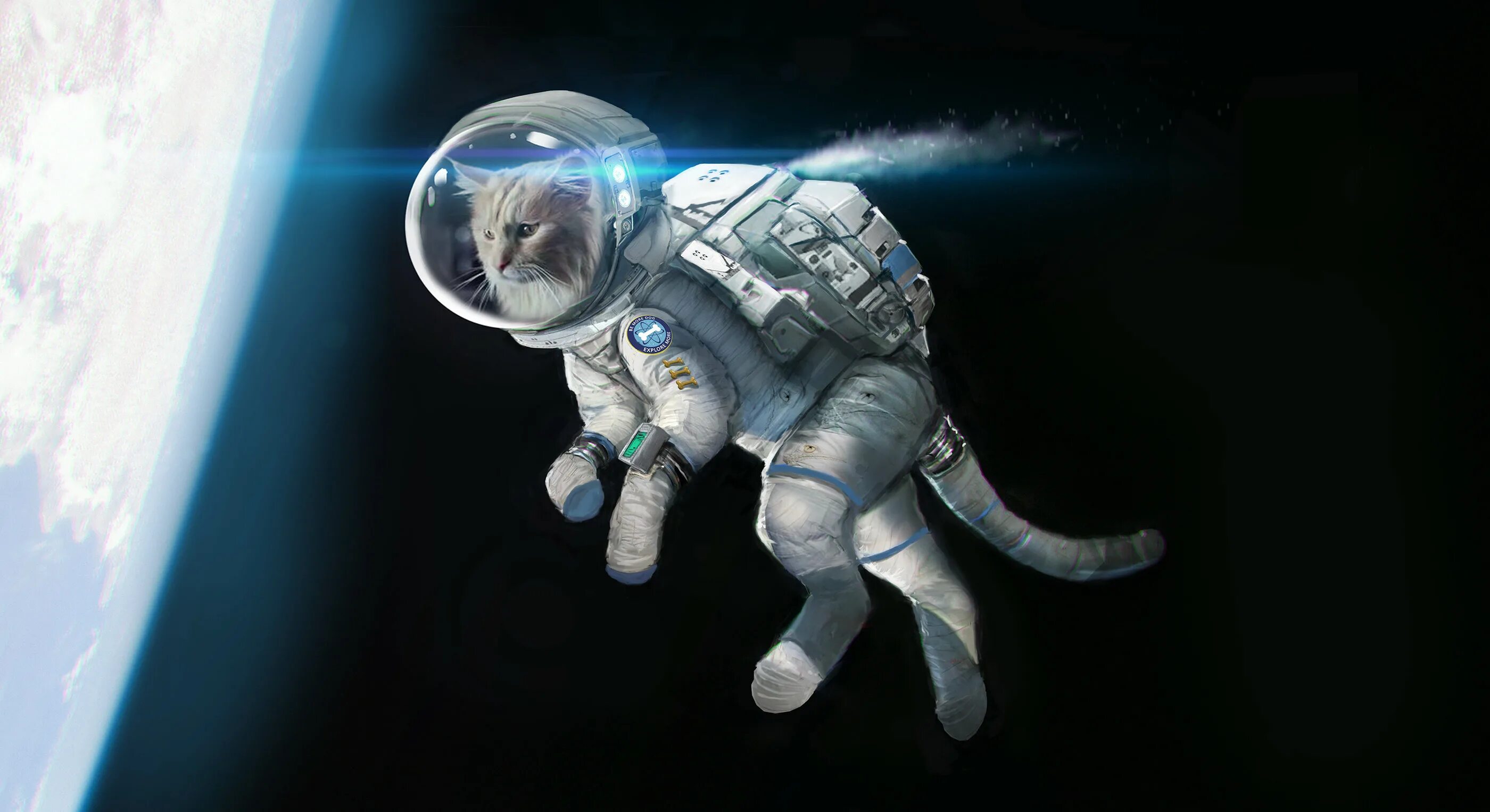 Кот космонавт. Кот в скафандре. Коты космонавты. Космо кошка. Гарфилд космический