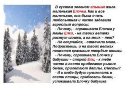 В слове ельник сколько