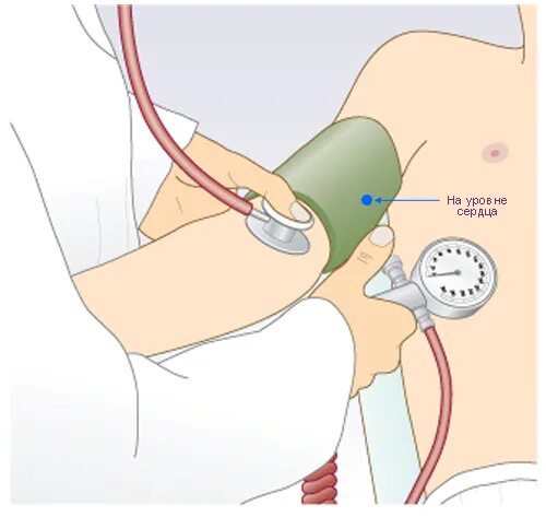 Манипуляция давлением. Измерение артериального давления. Продемонстрируйте измерение артериального давления. Техника измерения ад картинки. Измерение давления рисунок.