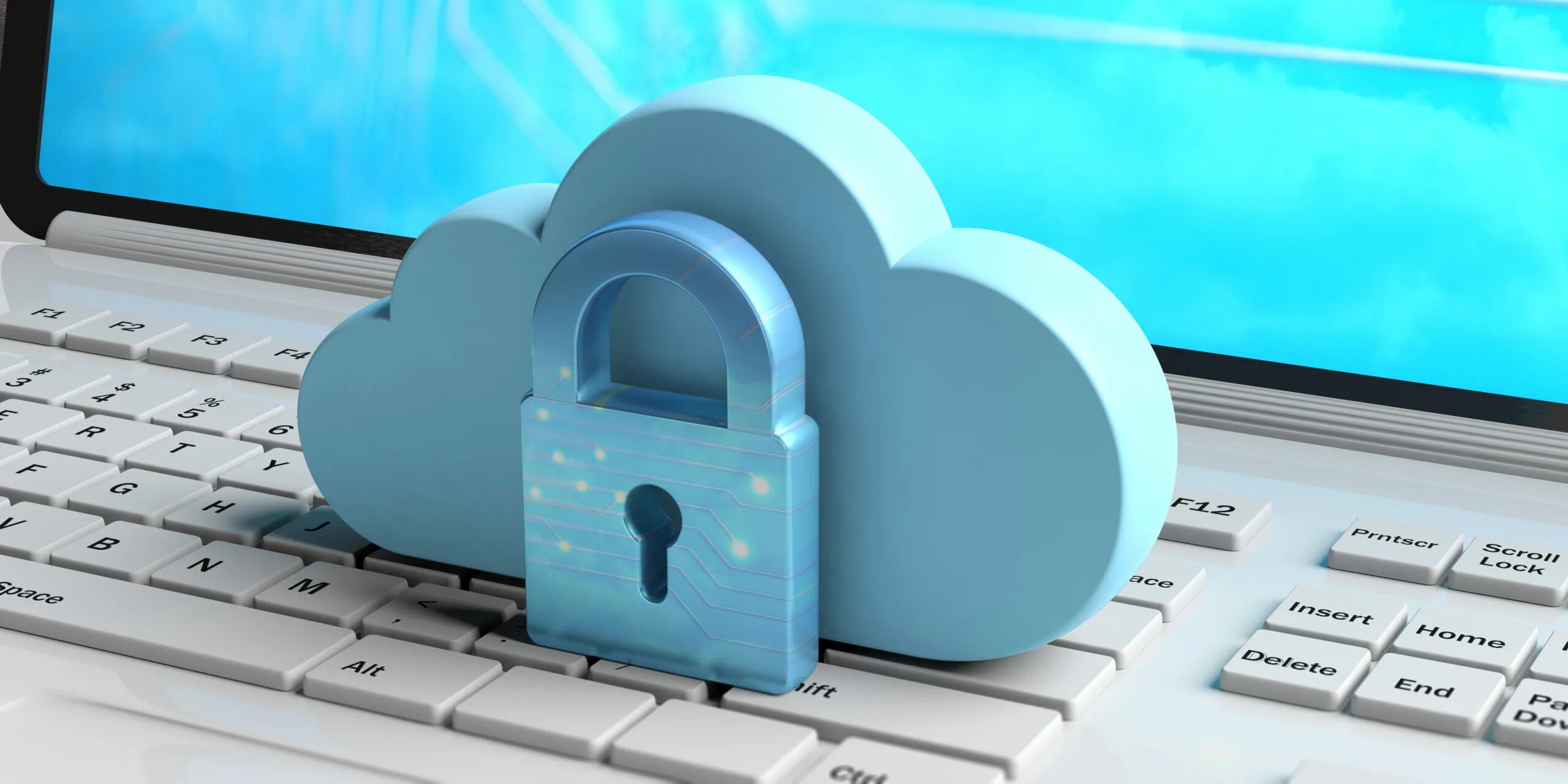 Data protect. Облачная безопасность. безопасность в сети. информация на экране. data protection illustration.