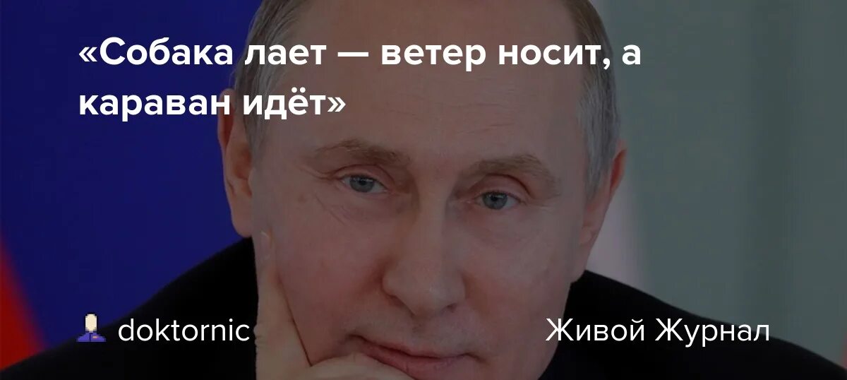 Собака лает ветер дует. Собака лает ветер носит. собака лает, ветер носит бродский. кому принадлежит фраза собака лает ветер носит. ищите собака лает ветер носит, а корован идет.