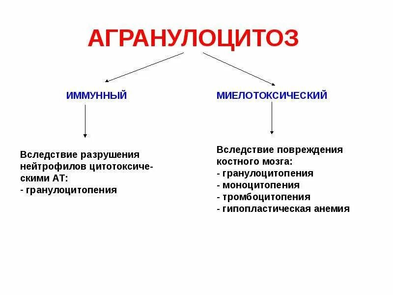Агранулоцитоз клинические проявления. Миелотоксический агранулоцитоз причины. Кровь при агранулоцитозе. Дифференциальная диагностика при миелопролиферативных заболеваний. Агранулоцитоз презентация.