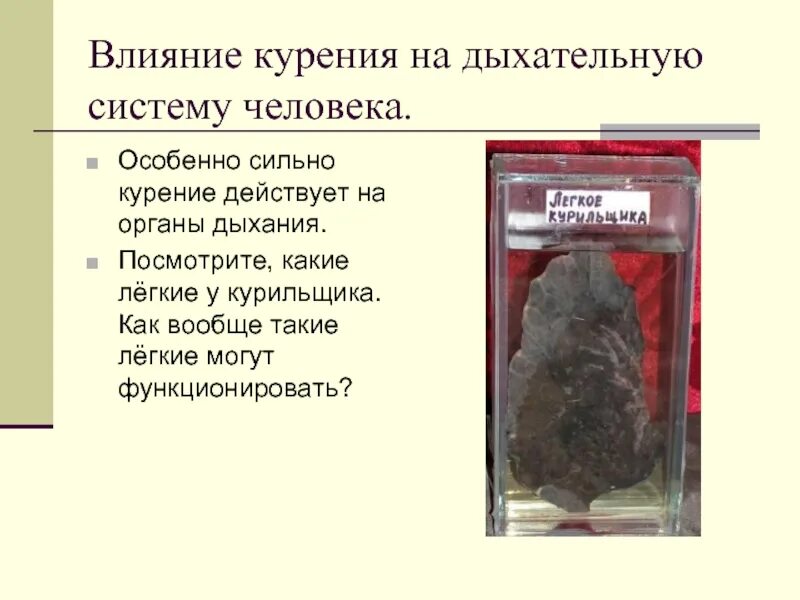 Влияние табачного дыма на органы дыхания вызывает. Влияние курения на дыхательную систему. влияние курения на органы дыхания. влияние табакокурения на дыхательную систему. влияние курения на органы ды.