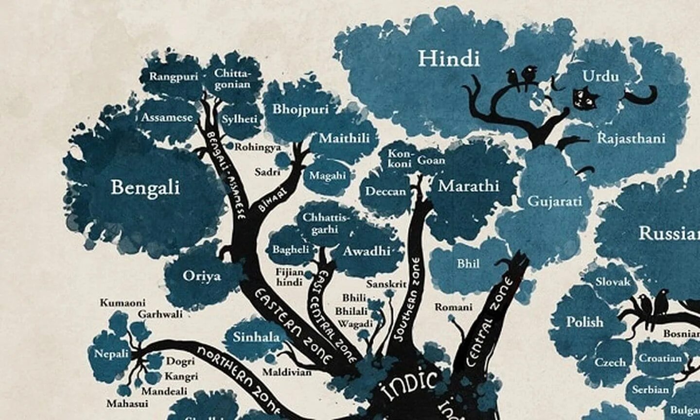 Древо языков индоевропейской семьи. Минна Сандберг Древо языков. Индоевропейская языковая семья дерево. Индоевропейская языковая группа языки дерево. Языков posting