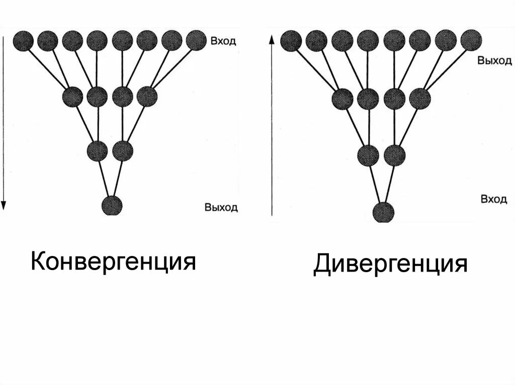 Дивергенция строение. Конвергенция физиология схема. Дивергенция и конвергенция схема. Схема конвергенции и дивергенции в ЦНС. Схема дивергенции физиология.