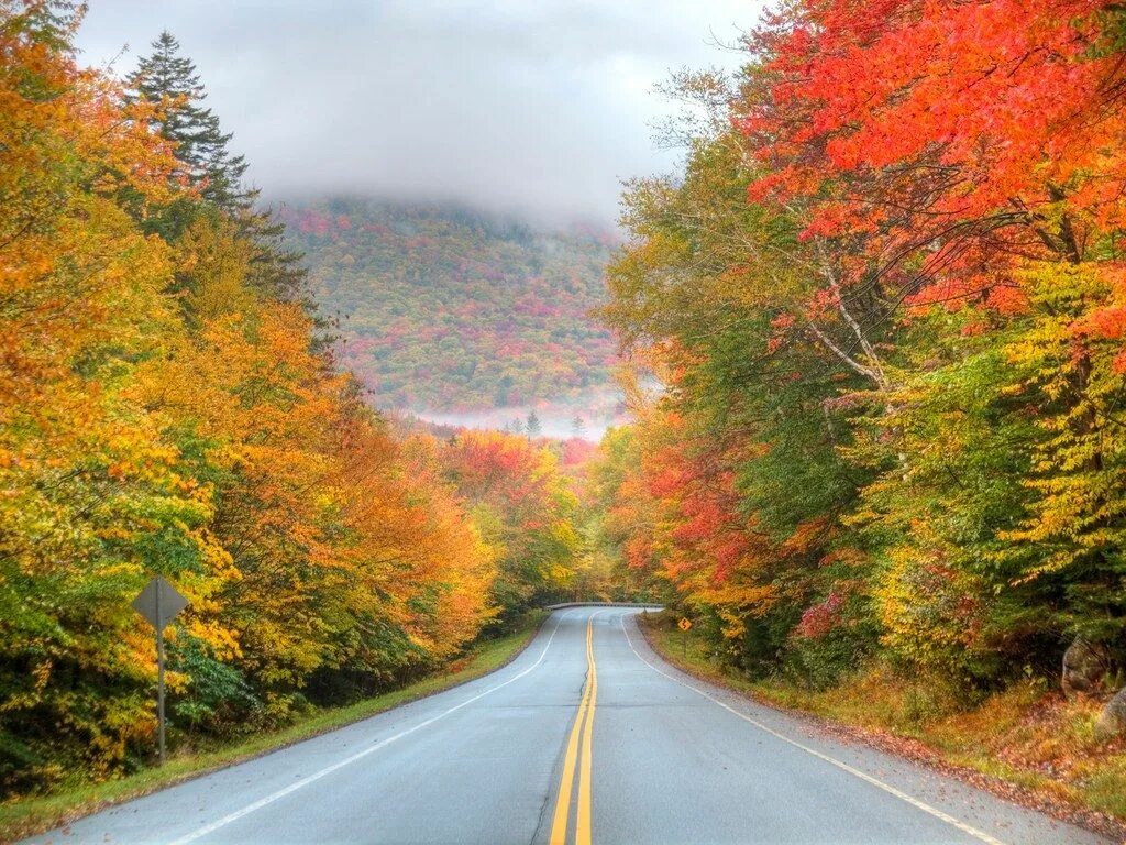 Осенний драйв. Канада осень дорога. Осеннее путешествие. Осень дорога Англия.