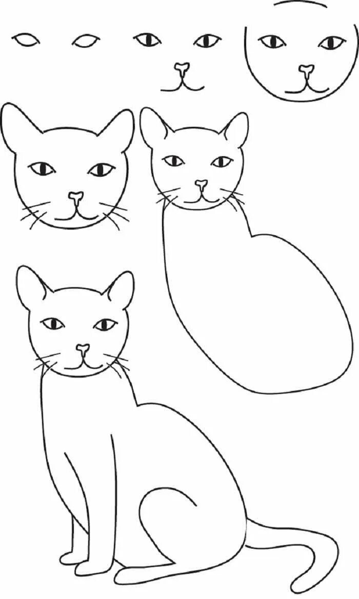 Поэтапное рисование кошки. Этапы рисования кошки. Поэ апное рисование кошки. Схема рисования котенка для детей. Быстро просто кошка