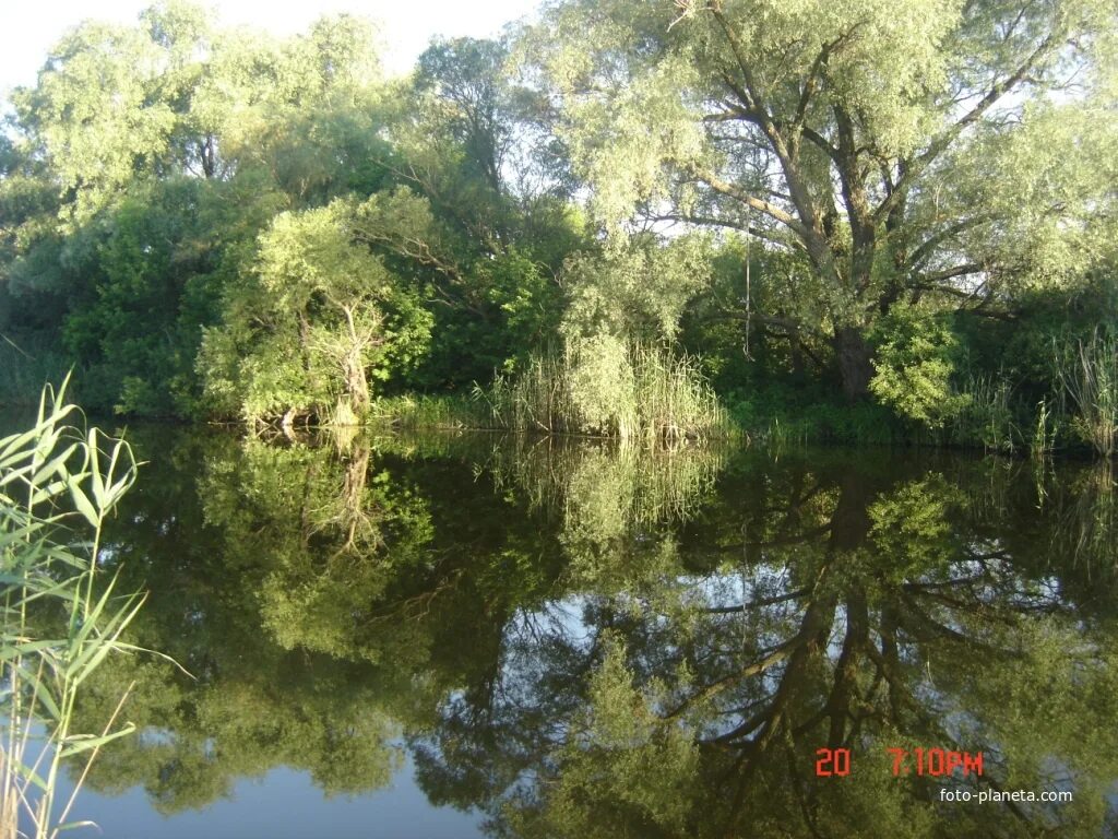 Погода в большинке тарасовского района ростовской области. Большинка Тарасовский район река. Большинка Тарасовский район Ростовской области. Село Большинка Тарасовского района. Село Большинка Тарасовского района Ростовской области.