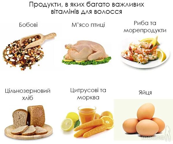 Продукты для роса волос. Продукты для роста волос. Едатдля роста волос. Продукты необходимые для роста волос.