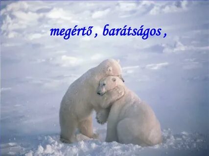 День объятий с медведем