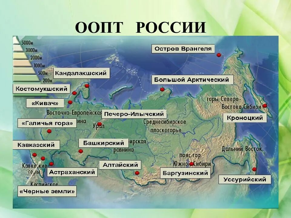 Где находится среда