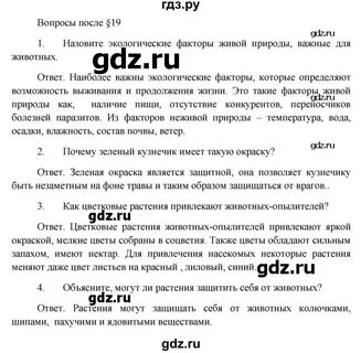 Вопросы решебник