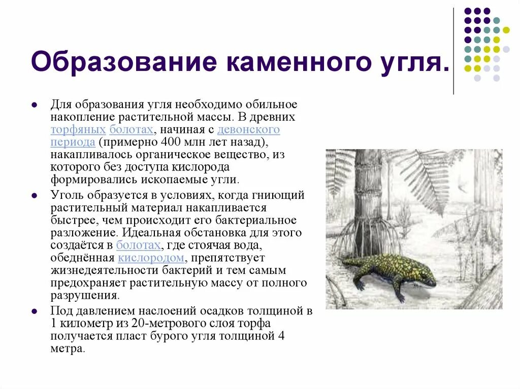 Образование каменного угля 5. Как образовался каменный уголь кратко. Сообщение образование каменного угля. Доклад образование каменного угля 5 класс биология. Образование каменного угля 5 класс биология сообщение кратко.