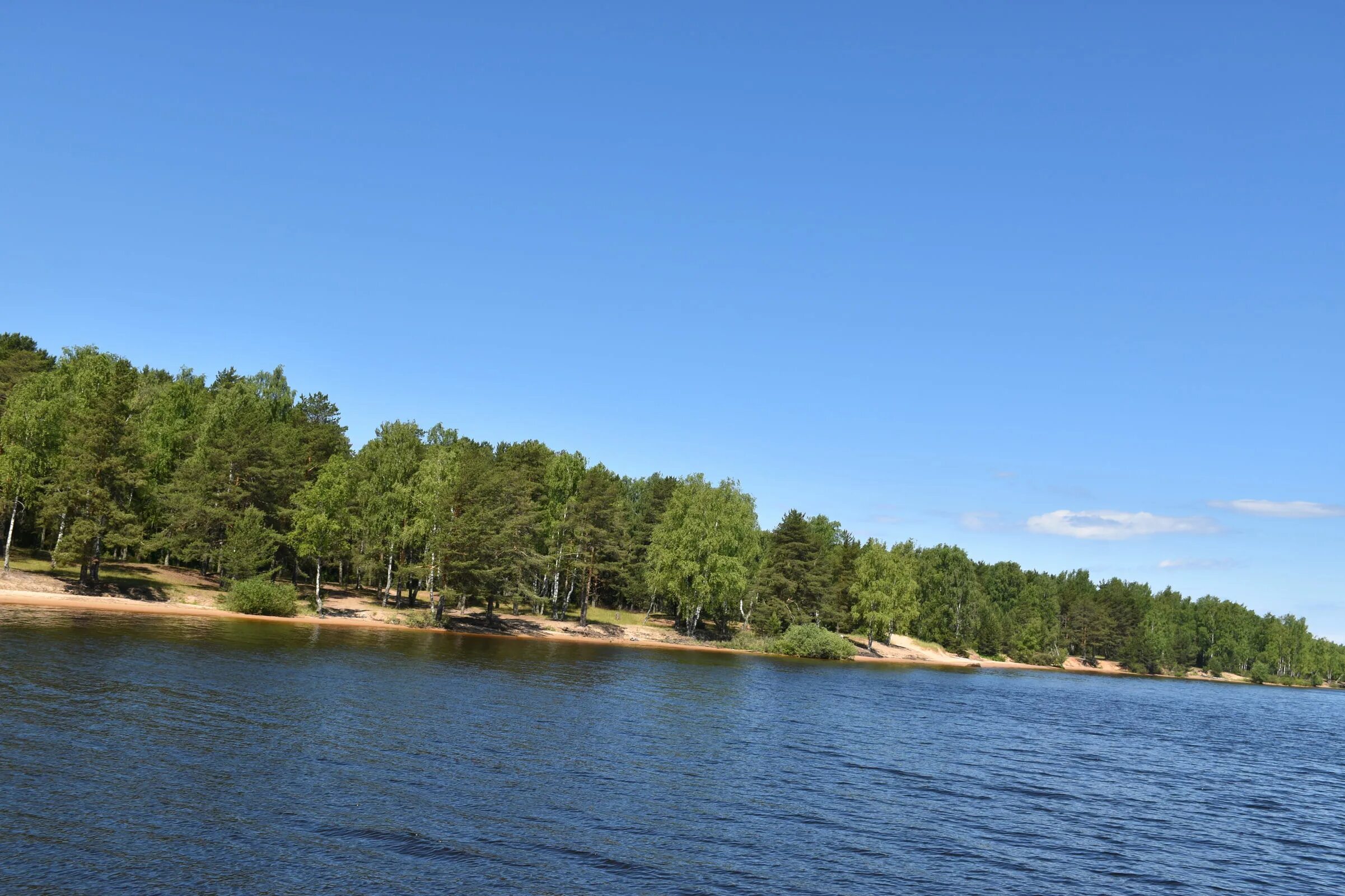 Юршинский остров Рыбинск. Юршинский остров Рыбинское водохранилище. Юрский остров Рыбинск. Острова Юршинский на Рыбинском водохранилище.