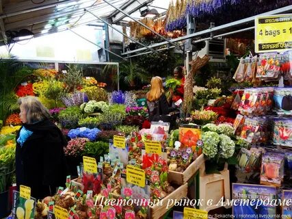 Режим работы цветочного рынка в краснодаре