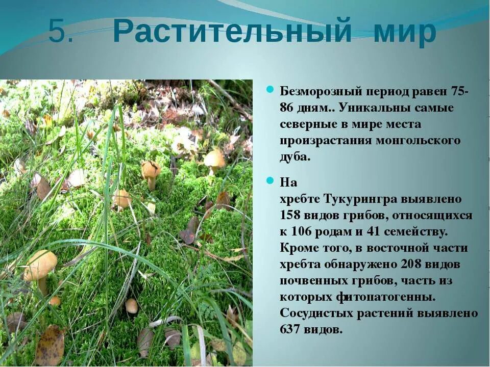 Безморозный период интервал от даты