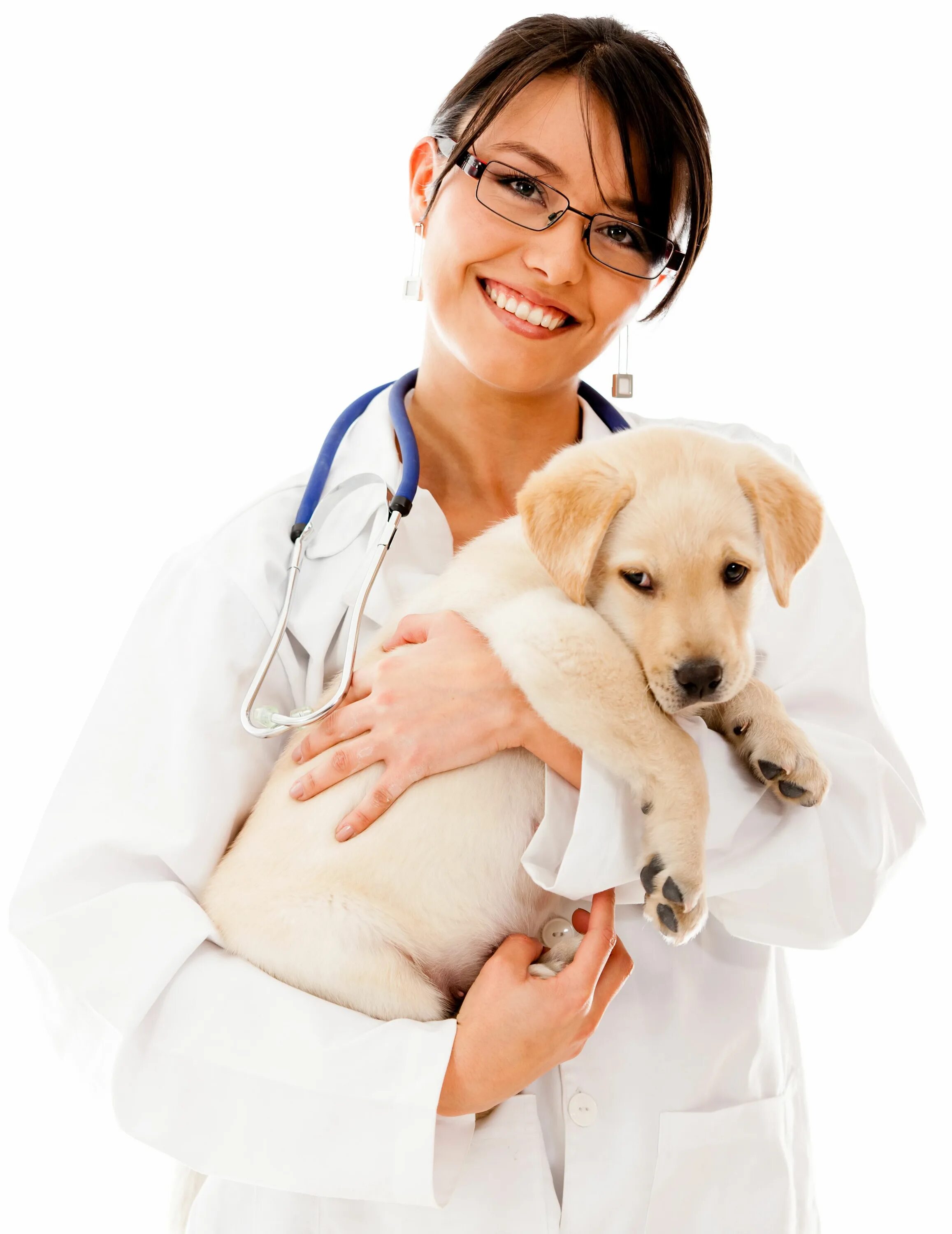 Ветеринар. Собака доктор. Ветеринар с собакой на белом фоне. Ветеринарный врач на белом фоне.