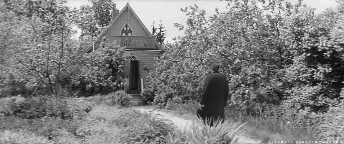 сады в жизни чехова