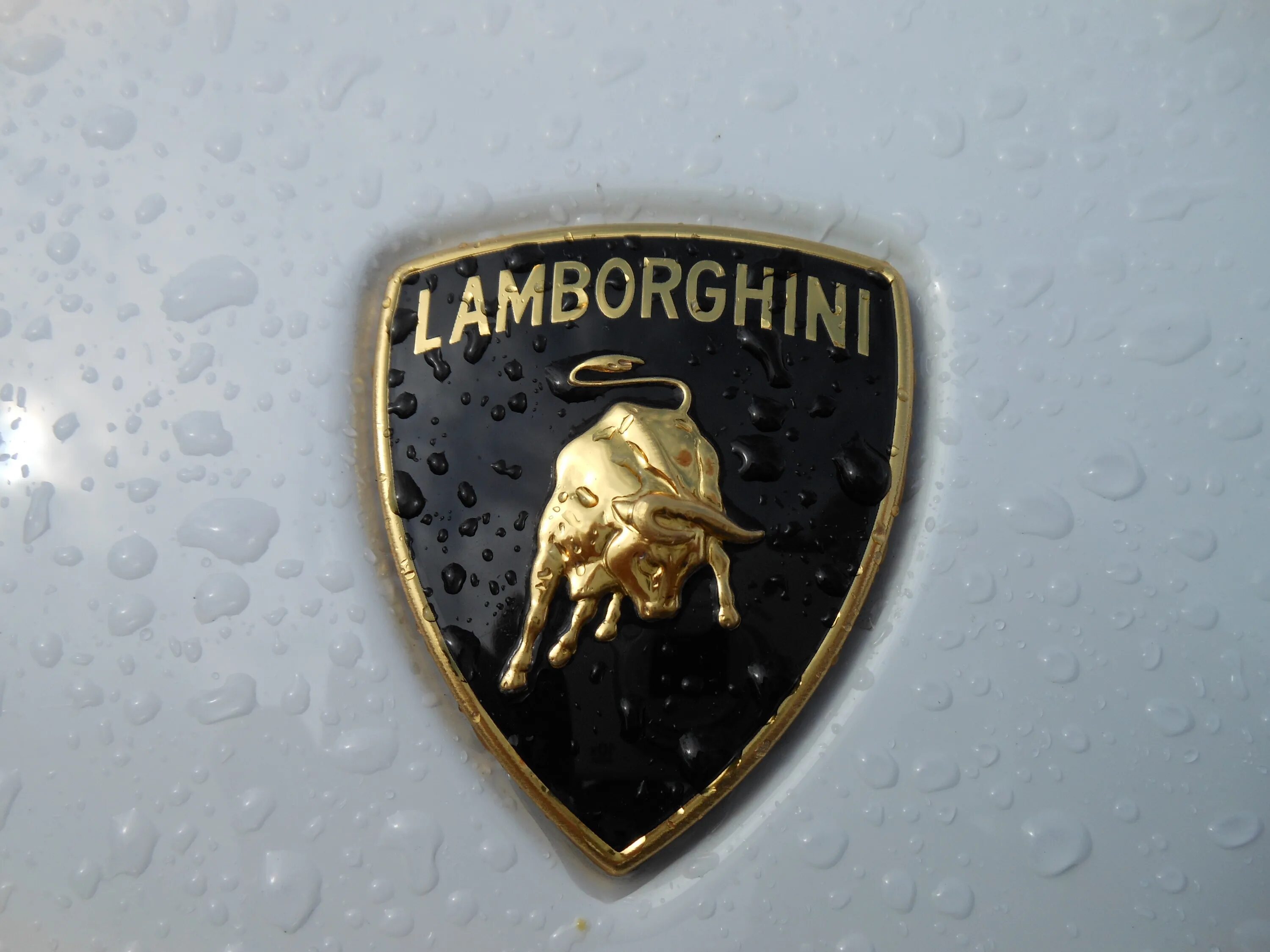 Ламборджини revuelto. Automobili Lamborghini значок. Lamborghini шильдик. Ламборджини лого. Новый значок ламборгини