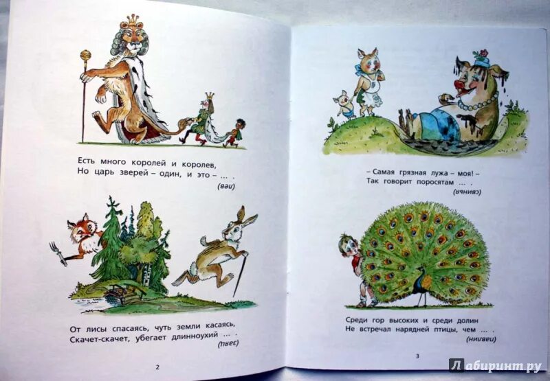 Загадки обманки. Dk загадки обманки. Детские загадки обманки. Загадки о манки для детей. Загадки-обманки для детей.