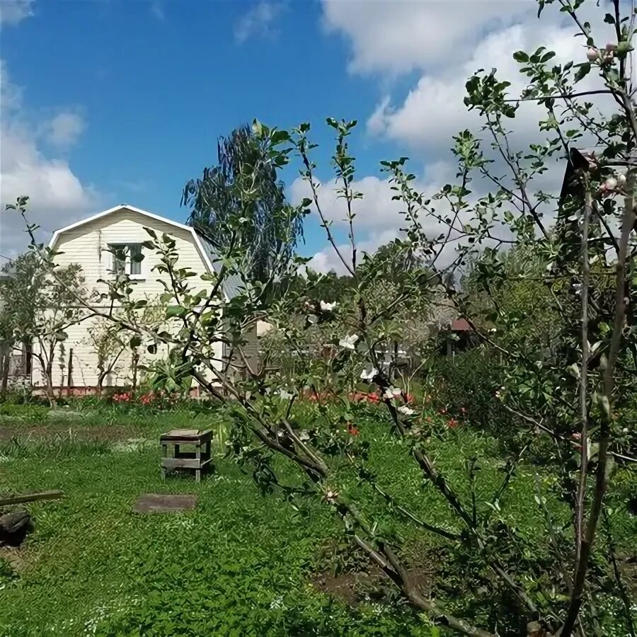 Садоводческое некоммерческое товарищество "восход". Участок назарьево. 1 новый уренгой. Снт каховка королев. Снт каховка королев.