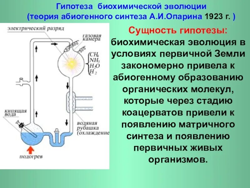 Биохимическая Эволюция Опарина Холдейна. Теория биохимической эволюции Опарина. Основные этапы биохимической эволюции Опарина-Холдейна. Опыт Миллера теория биохимической эволюции Опарина.