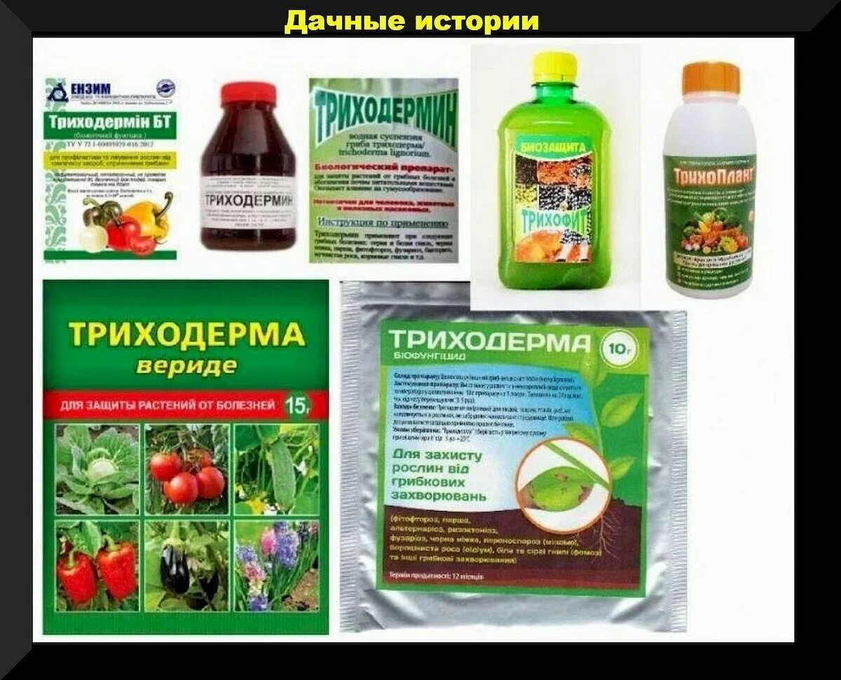 Растительные препараты применение