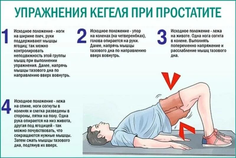 Гимнастика при простатите комплекс упражнений кегеля. Гимнастика для мышц тазового дна для мужчин. Комплекс упражнений кегеля для мужчин. Тренировка мышц тазового дна для мужчин