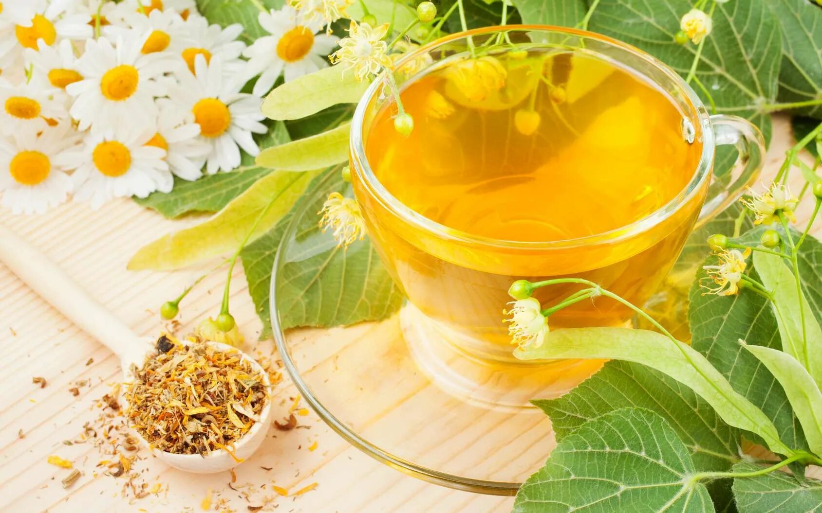 Травяной чай. Лекарственные растения в народной медицине. Отвары из лекарственных трав. Чай с травами.