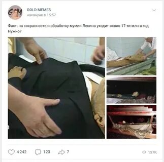 Сколько лет лежал