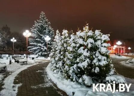 Беларусь присыпало снежком