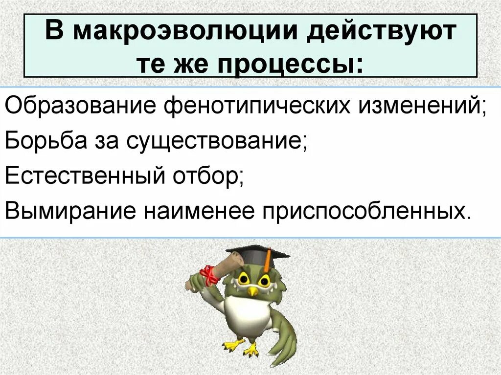 Макроэволюция прогресс и регресс. Доказательства макроэволюции. макроэволюция доказательства эволюции. результат макроэволюции. в процессе макроэволюции образуются.