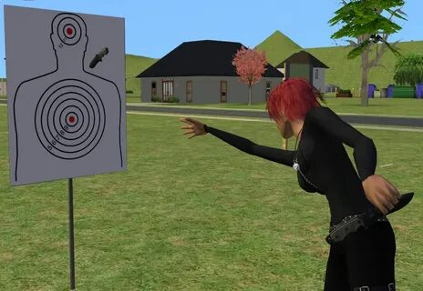 Target version