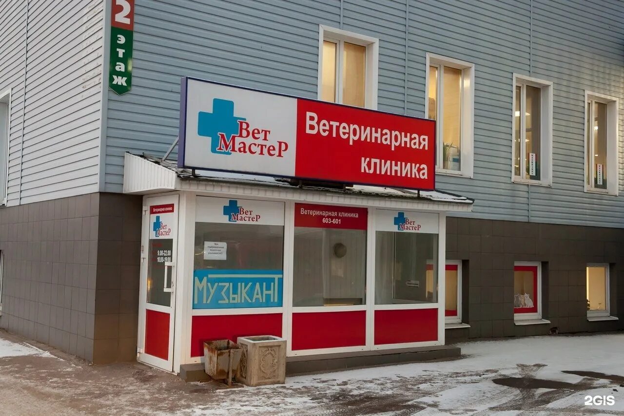 Ветклиники великий новгород режим. Ветклиники великий новгород режим. Линейная 20 великий новгород ветклиника. Котонай великий новгород. Ветхаус великий новгород воскресенский бульвар.