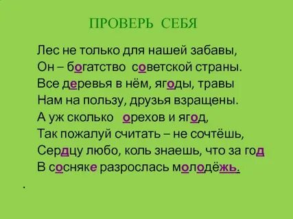 Имена прилагательные лес
